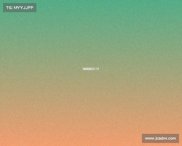 全国轮滑比赛2019