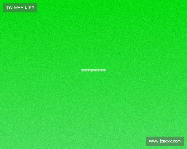 搏击赛事的运营;搏击赛事的运营方案